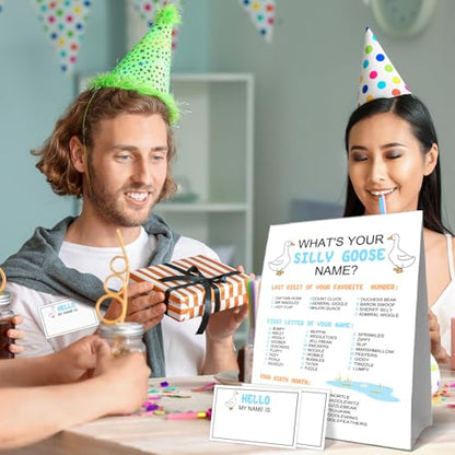 What's Your Silly Goose Name Game, What's Your Silly Goose Name Game Card, Gooses Names Games Sign 30 Sticker Cards, Gooses Baby Shower, Birthday Party Activities Decorations Names Card for Boys Girls - style: Sillygoose
