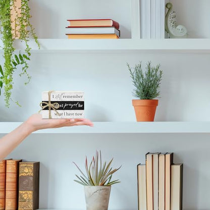 Decorative Books For Home Decor, Coffee Table Faux Wood Book Stack Decor, I Still Remember Modern Stacked Book Decor, Stacked Display Books For Shelf Mantel Nightstand Display, Three Pieces -C(13) - style: I still remember -08
