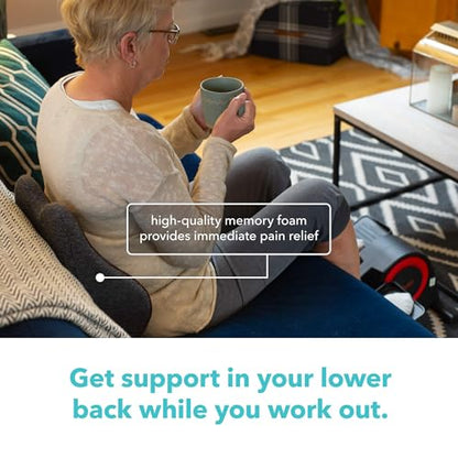 Cubii Cushii V2 Back Support Cushion for Back and Lower Back Pain Relief Universal Fit for Desk, Office, Kitchen Chairs, Couch Cushions with Advanced Lumbar Support - size: 17 Inches