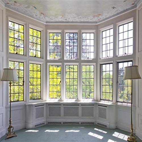 AOFOTO 6x6ft Classic French Pane Bay Windows Backdrop Luxury Retro Interior Decoration Floor Lamps Photography Background New Life Furniture Home Lifestyle Estate Modern Residence Photo Studio Props - size: 6x6ft