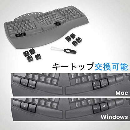 Perixx PERIBOARD-512B Wired Ergonomic Keyboard - Split Keyboard, Wrist Rest, Natural Typing - Wired USB Connectivity - US English - Black - color: Black