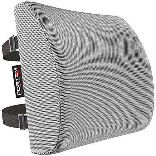 FORTEM Lumbar Support Pillow for Office Chair, Lumbar Support Pillow for Car, Back Rest for Gaming, Memory Foam Pillow, Desk Chair Cushion, Breathable & Washable Cover, Adjustable Straps - color: Grey Mesh