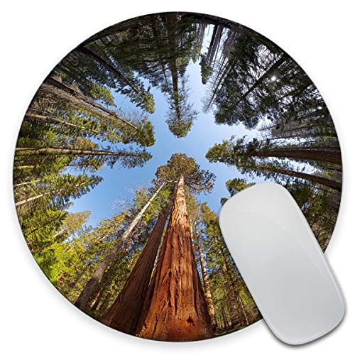 Gaming Round Mouse Pad Custom, Giant Sequoia Trees Mouse pad, Round Mousepad, Yosemite National park Mouse pad, Office Supplies, Present for Friend, Desk Accessories - color: AMR19