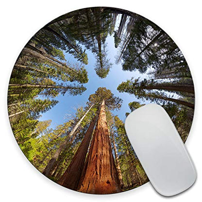 Gaming Round Mouse Pad Custom, Giant Sequoia Trees Mouse pad, Round Mousepad, Yosemite National park Mouse pad, Office Supplies, Present for Friend, Desk Accessories - color: AMR19