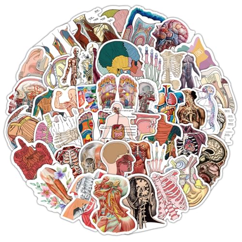 100PCS Anatomy Stickers, Vinyl Waterproof Anatomy Decals Pack for Water Bottle, Helmet,Journaling, Laptop, Phone, Biology Anatomy Human Body Organ Stickers for Students Teachers - color: Anatomy Stickers