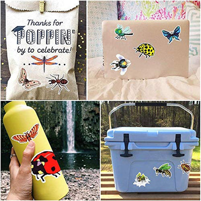 Insect Stickers, 50Pcs Summer Bug & Butterfly Waterproof Vinyl Stickers for Water Bottles, Laptop, Party Favors, Classroom Rewards & Gift Pack - style: Insect Stickers