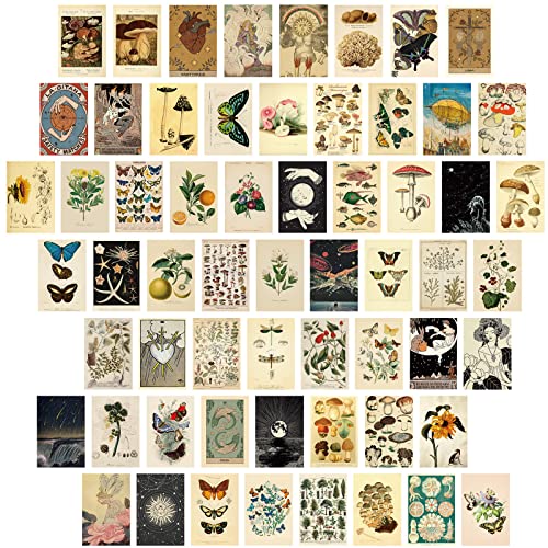 Containlol 60 Pcs Vintage Wall Collage Kit Maximalist Paintings Art Prints Botanical Illustration Tarot Aesthetic Vintage Prints Cards Photo Wall Collection Aesthetic Collage Dorm Bedroom Decor